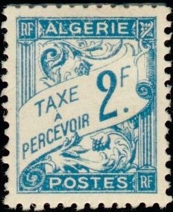 Domestic Rabbit (Oryctolagus cuniculus domesticus)