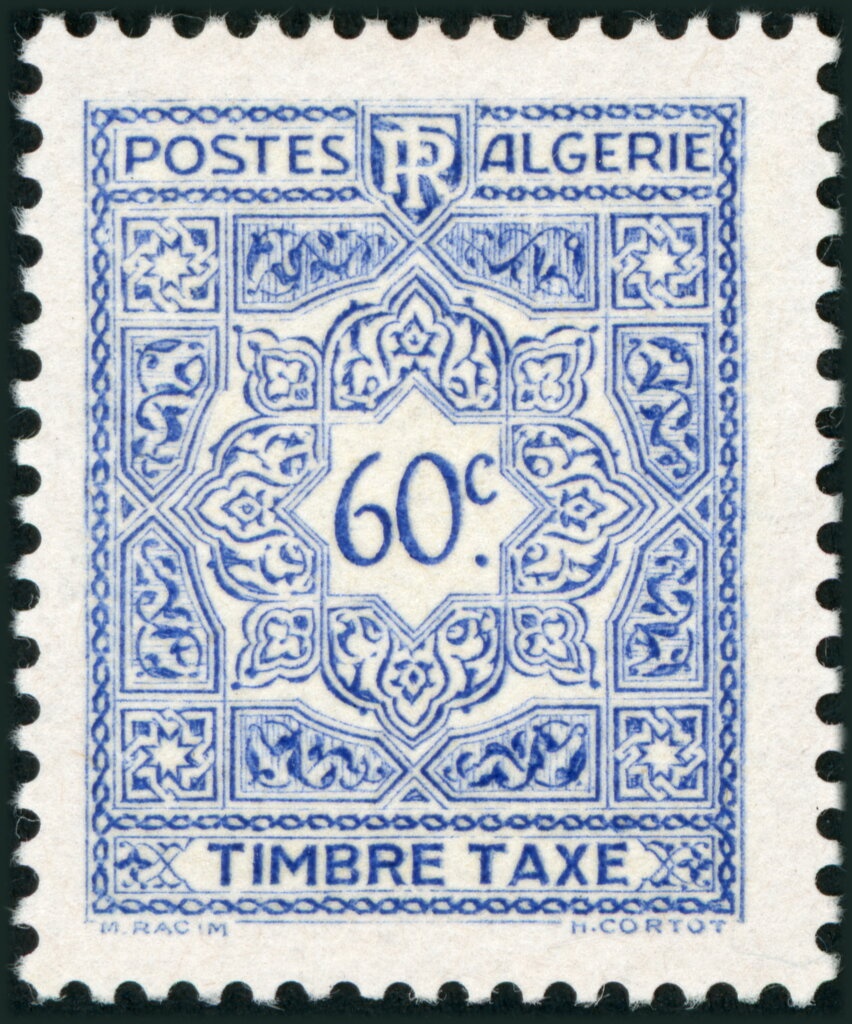 Sloughi, Arabian Greyhound (Canis lupus familiaris)