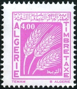 Solidarity with Palestine