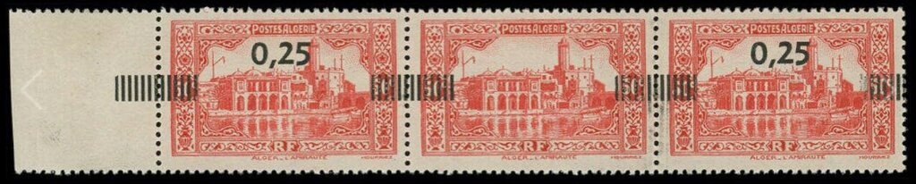 Pyrenean Chamois (Rupicapra pyrenaica)