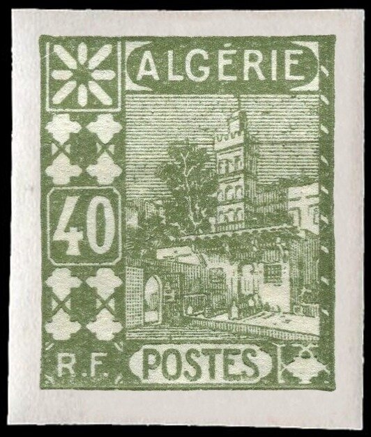 Barbary Macaque (Macaca sylvanus)