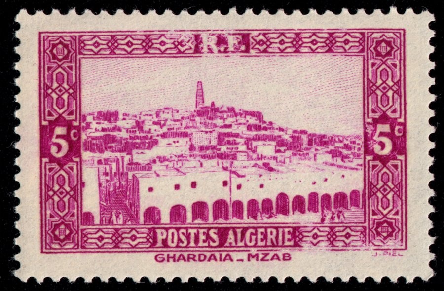 Yellow Foot (Cantharellus lutescens)