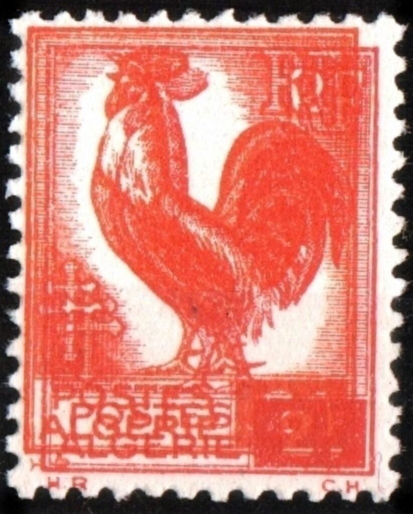 1st National Youth Festival