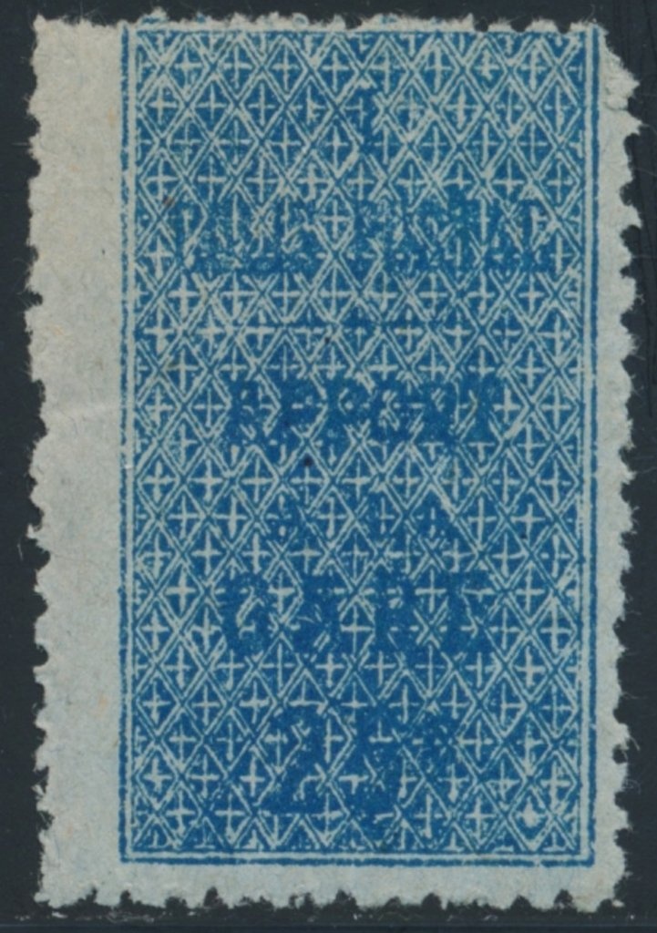 Parasol Mushroom (Lepiota procera )