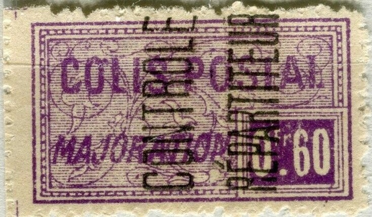 Eurasian Curlew (Numenius arquata)