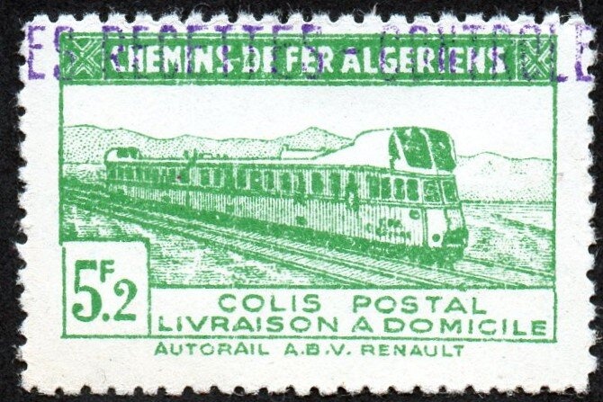 Wattle as a sun symbol