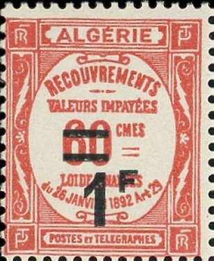 Brown Bear (Ursus arctos)