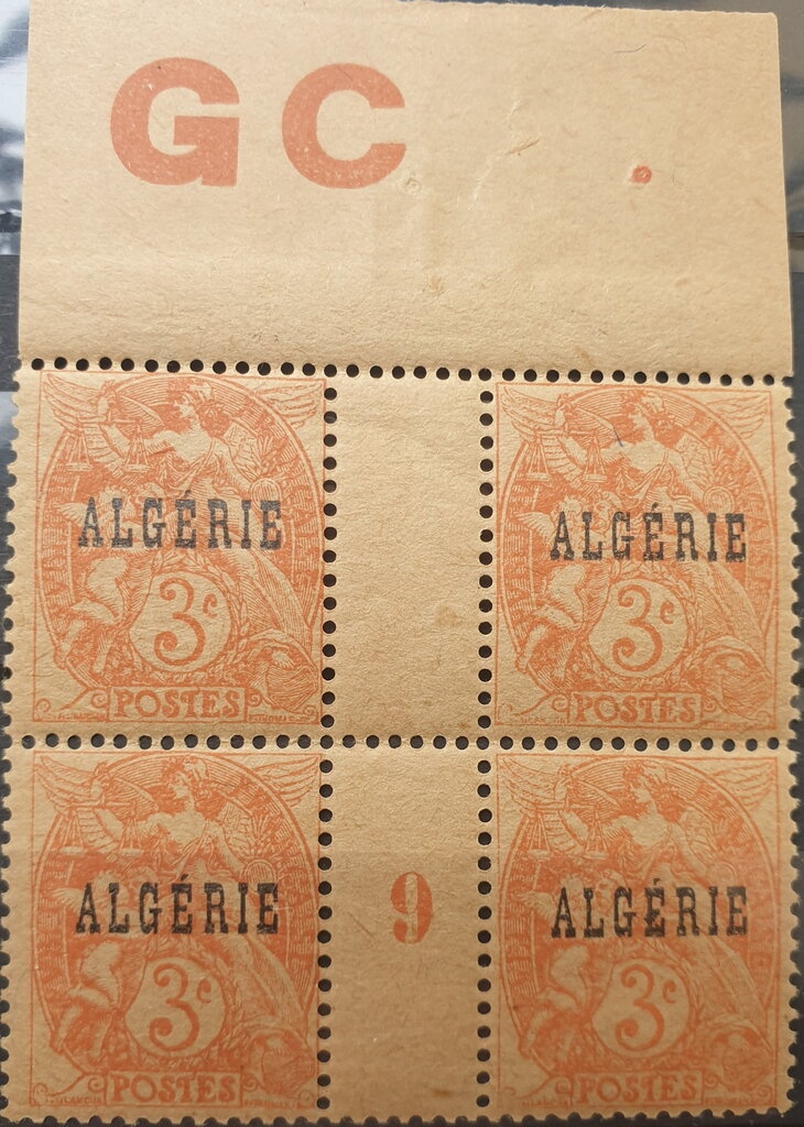 Common Chaffinch (Fringilla coelebs)