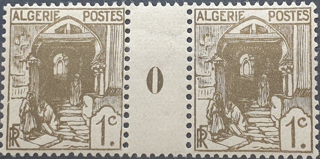 Purple Sea Urchin (Paracentrotus lividus)