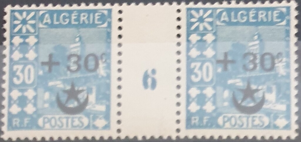 Emperor Penguin (Aptenodytes forsteri), Polar Landscape