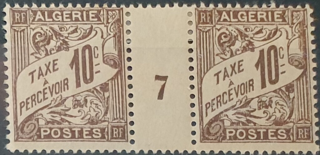 Fly agaric (Amanita muscaria)