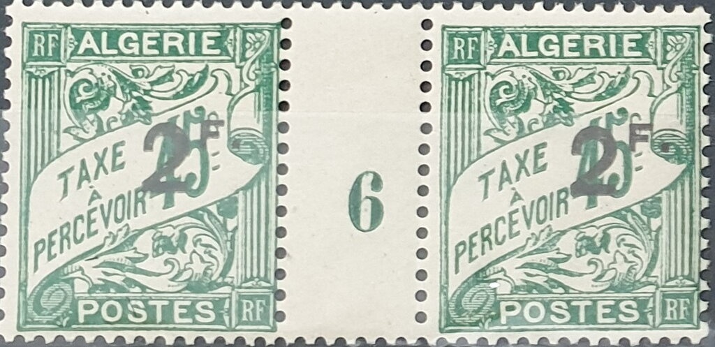 International Youth Year