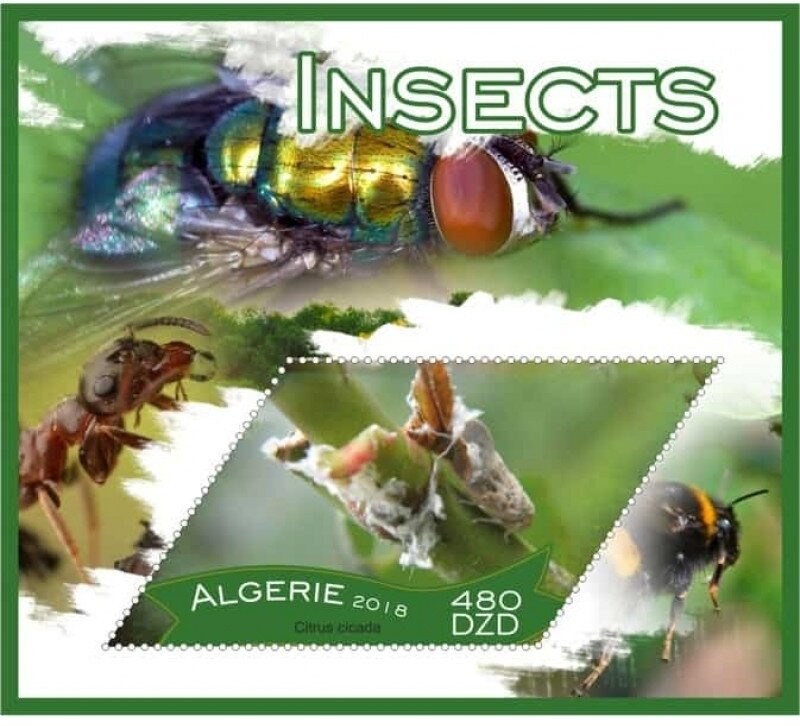 C.E.P.T.- Children's toys