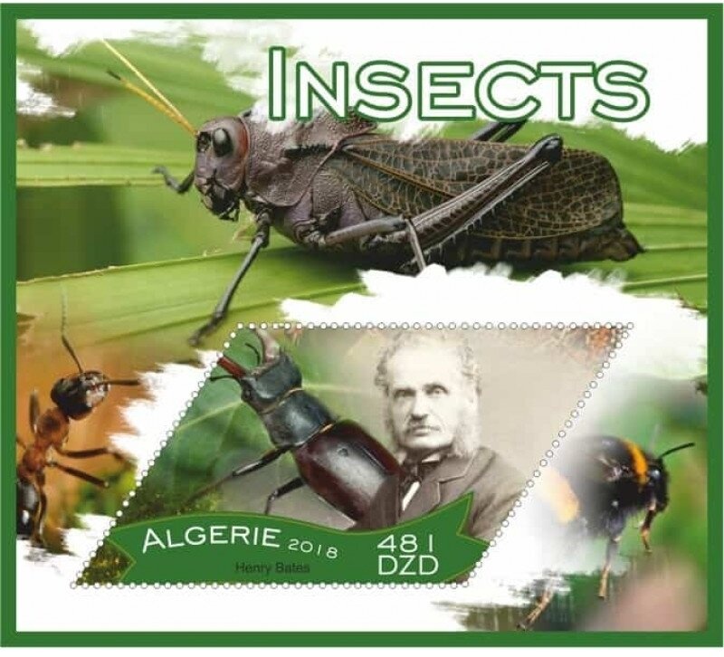 Knitting Sewing Nets