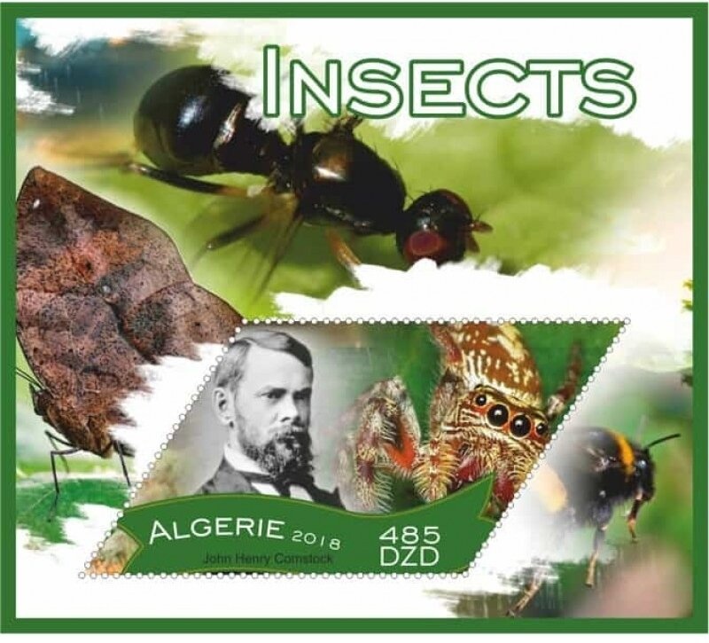 Type Semeuse - overprinted "ALGERIE"