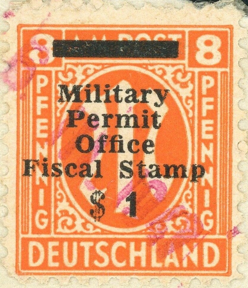 Mediterranean Carrier Shell (Xenophora crispa)