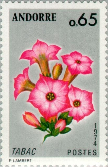 Sant Joan de Caselles Church