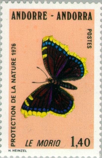 Streets of Kasbah, Algiers surcharged