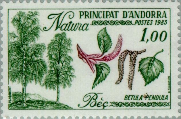 50th anniversary of the Soummam Congress