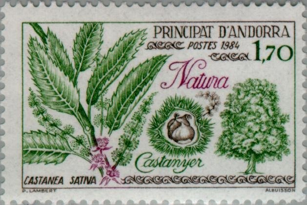 Francesc Galobardes Carbonell, Artist