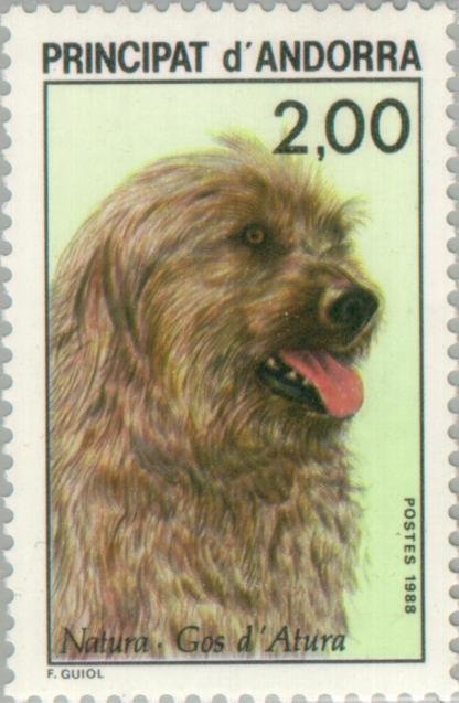 Without Touching Asphalt, by Emma Regada