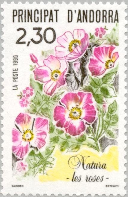 Centennial visit Mossen Jacinto Verdaguer