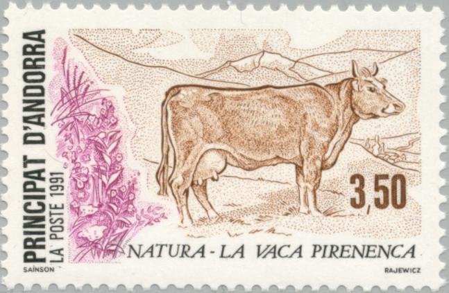 French and Algerian soldiers