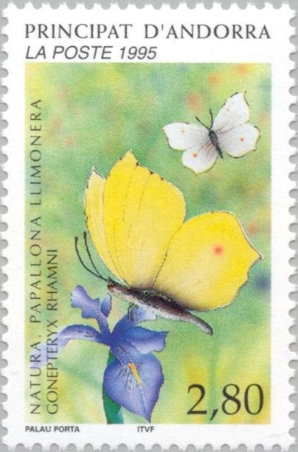 Scenes from the Bible