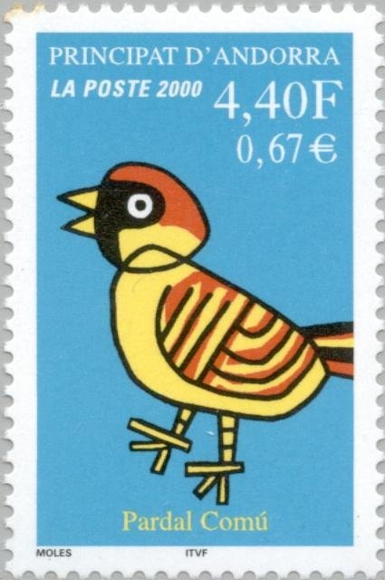 Ornithogalum arabicum