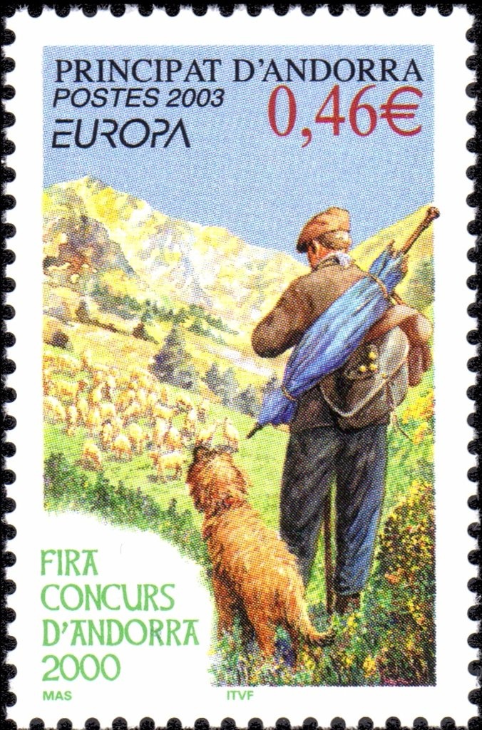 Mérens Pony (Equus ferus caballus)