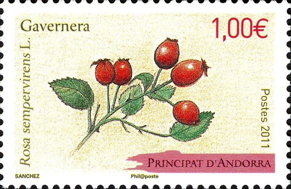 King Carlos I of Portugal (1863-1908)