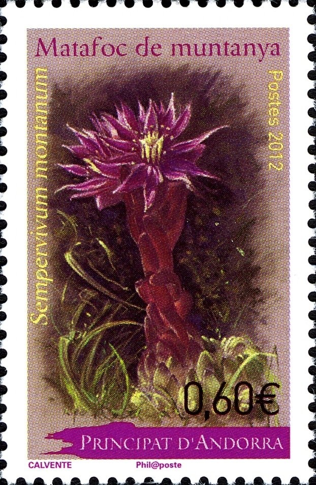 Archangel Gabriel and Ship