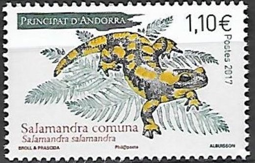 Historic Battles of the 19th Century