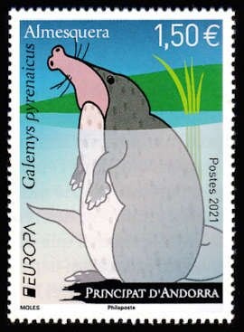 Feast of the Magi - Twelfth Night