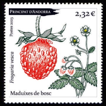 Bridge of St. Antoni