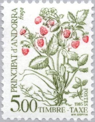 View to Pal in winter