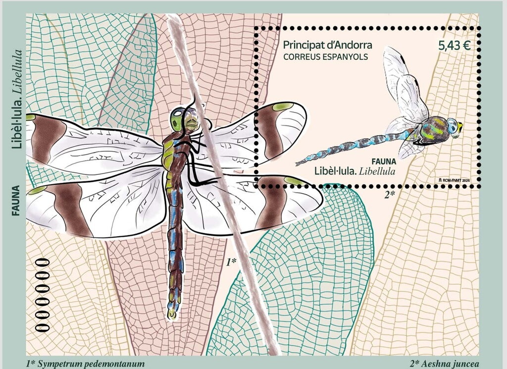 Landscape - overprinted