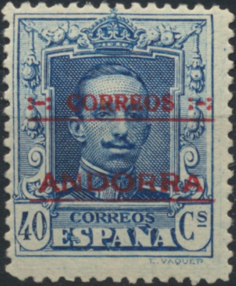 Anopheles Mosquito (Anopheles sp.)