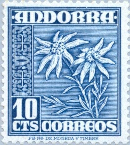 Eurasian Blue Tit (Parus caeruleus)