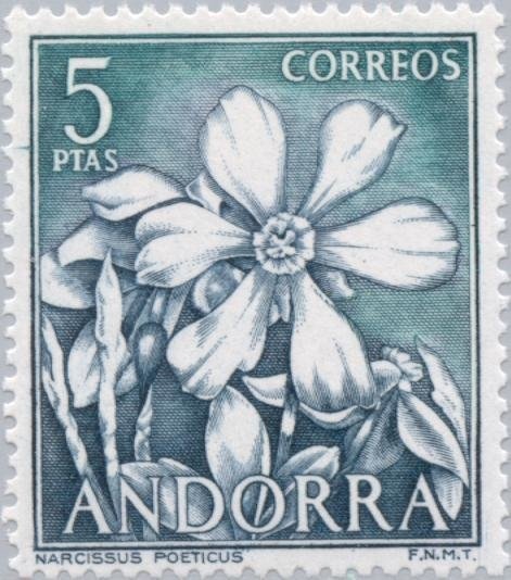 The Cross with Seven Arms