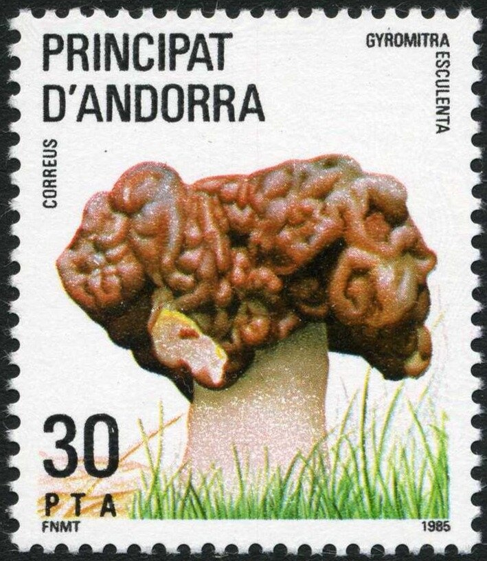 Museum 'Casa Cristo'