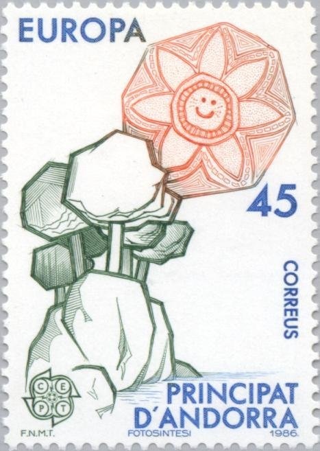 Lesser Flamingo (Phoenicopterus minor)