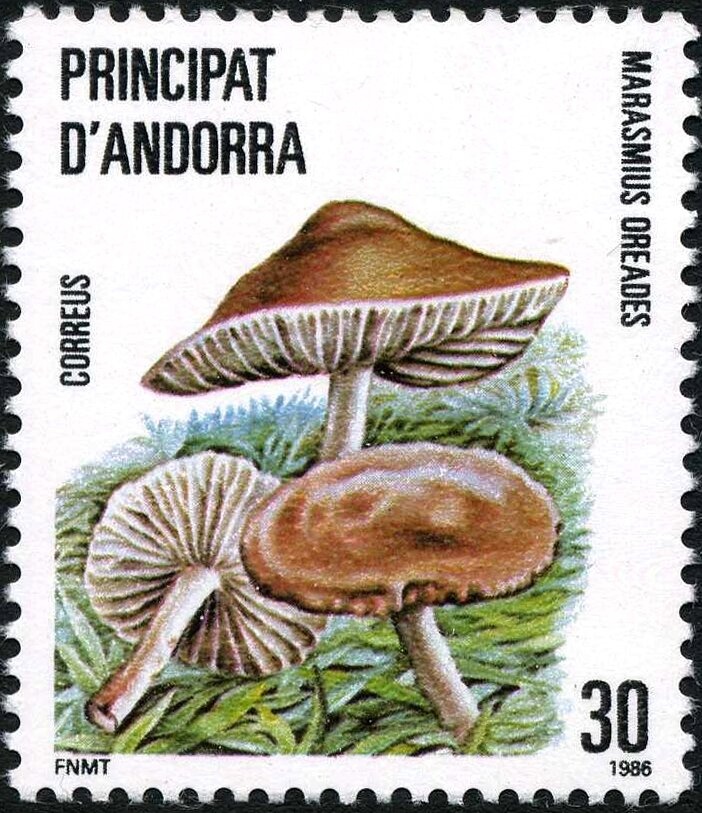 Coat of arms from Andorra