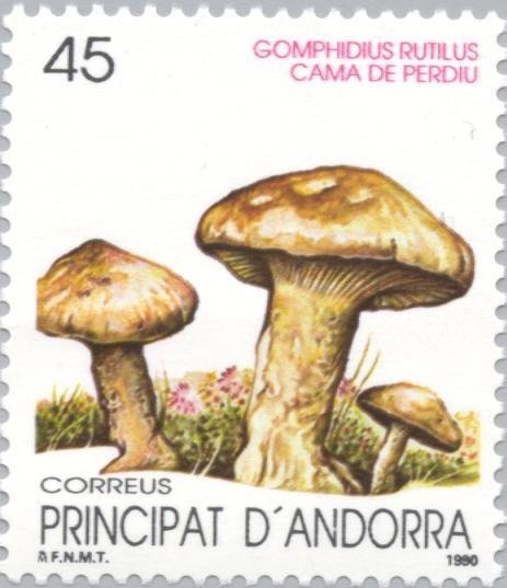 Type Recouvrements surcharged