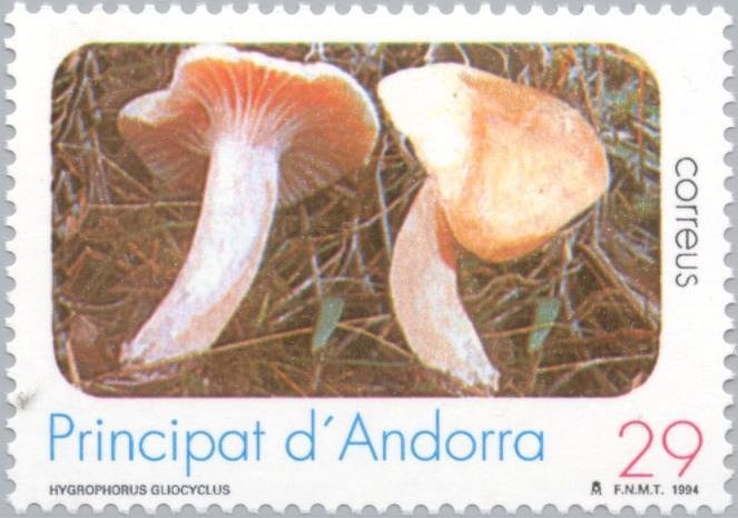 International Year of Literacy c / Vignette