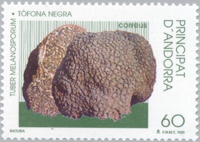 Andorran ski resorts