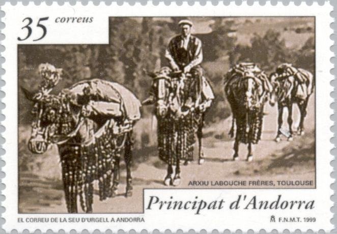 Mallard (Anas platyrhynchos)