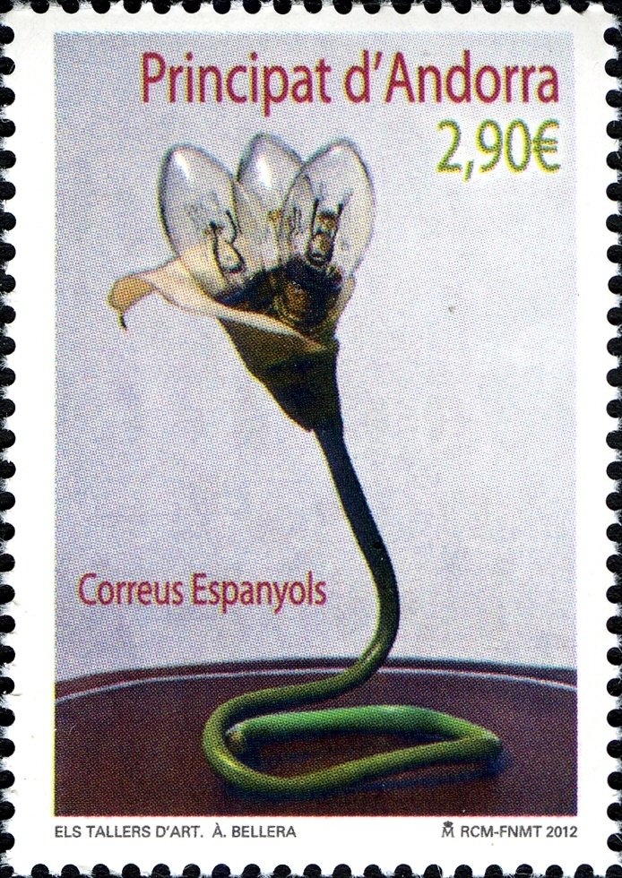 Wild Boar (Sus scrofa)