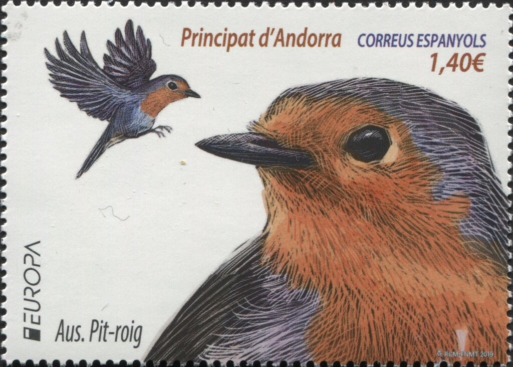 Red-crested Turaco (Tauraco erythrolophus)