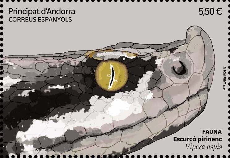 White-throated Dipper (Cinclus cinclus)